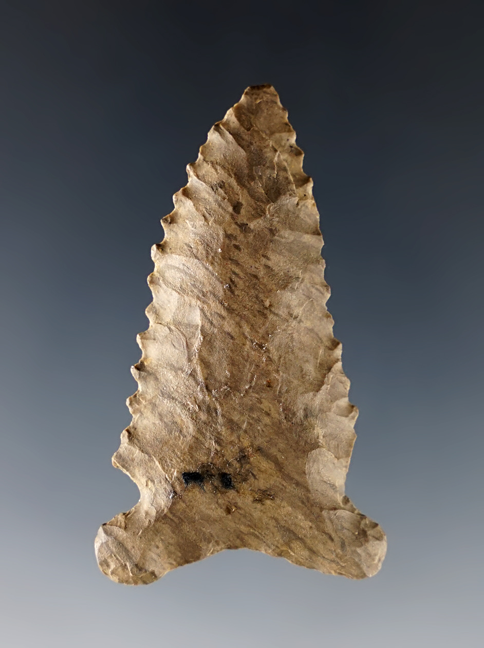 Main artifact image