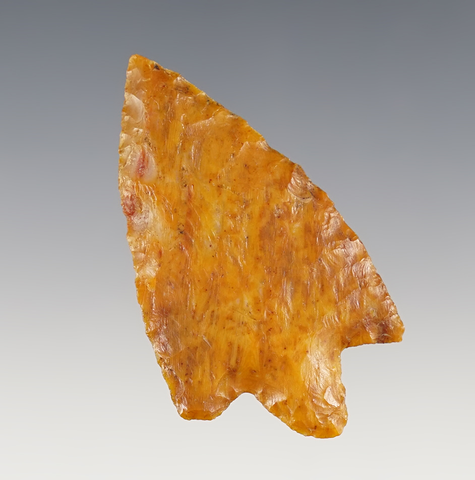 Main artifact image