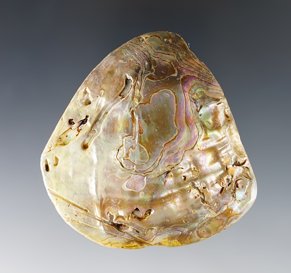 Main artifact image