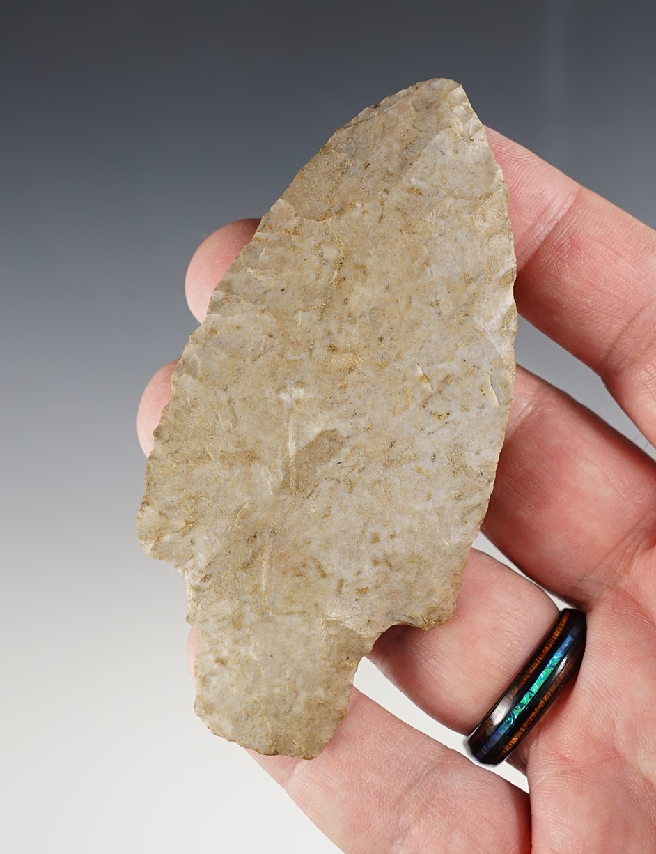 Main artifact image