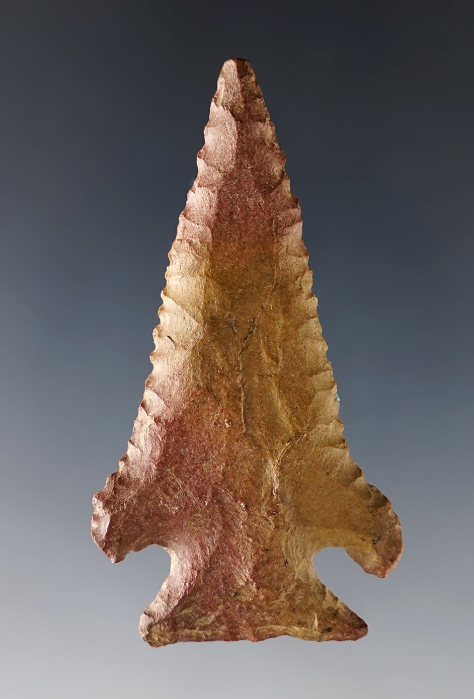 Main artifact image