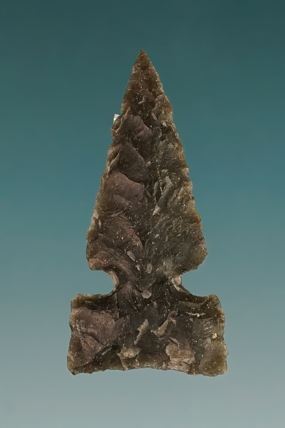 Main artifact image