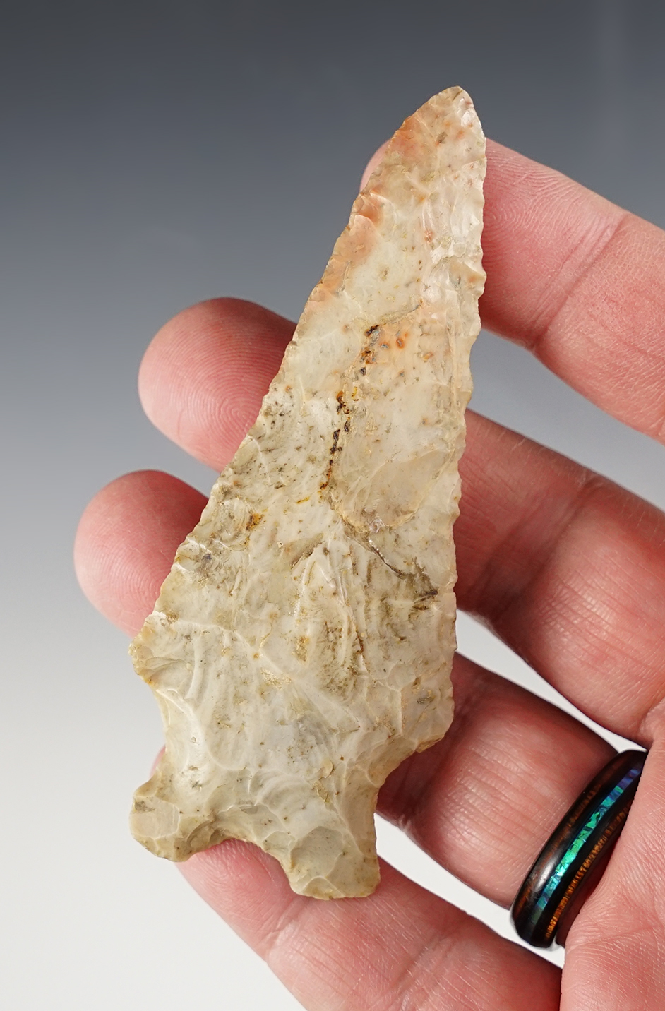 Main artifact image
