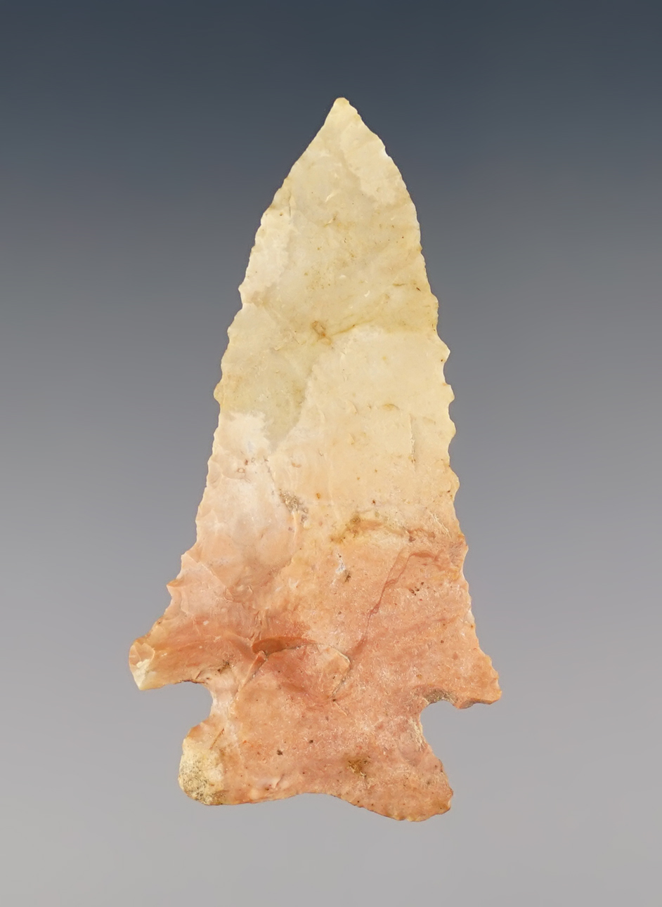 Thin and well made 2 1/8" Ohio Pinetree made from colorful chert. Ex. Kenny McNeal collection.