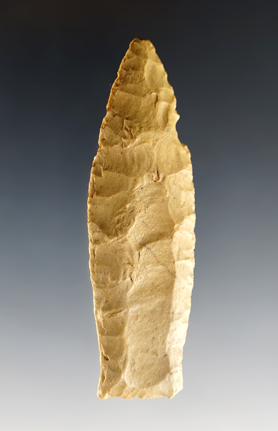 Main artifact image