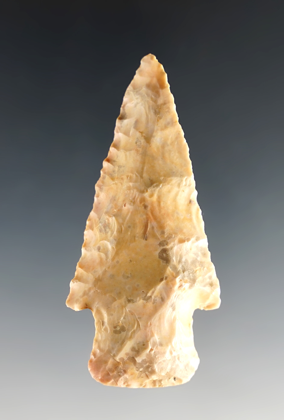 Main artifact image