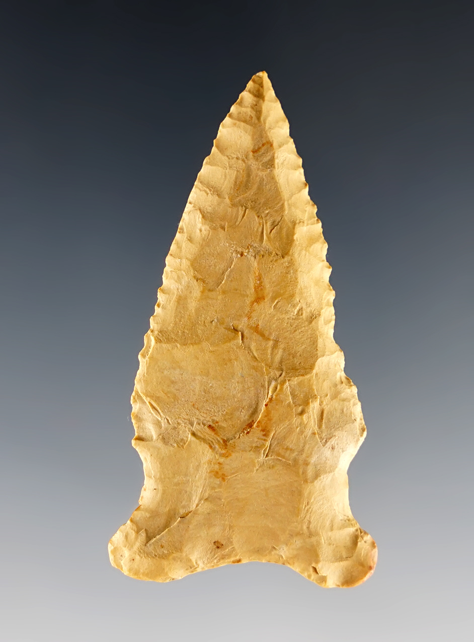 Main artifact image