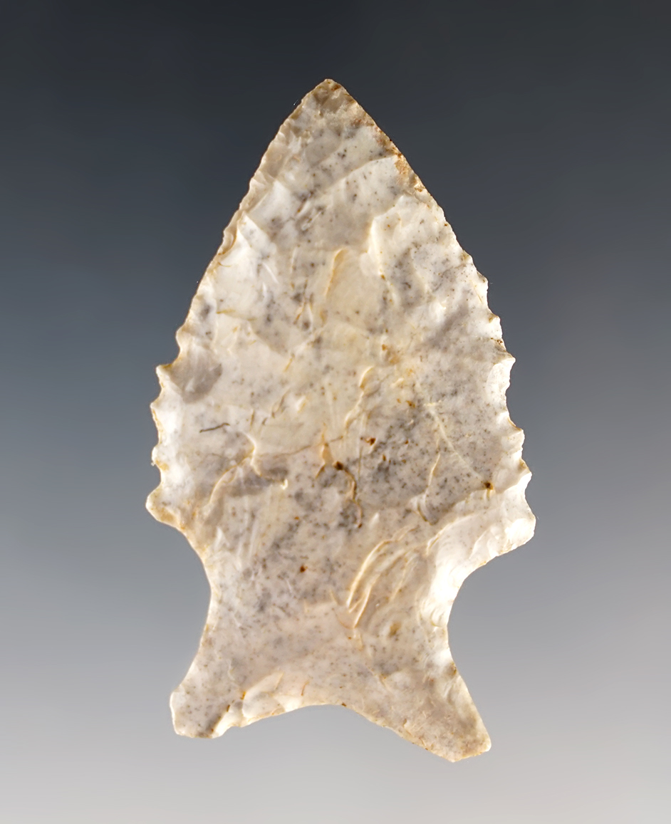 Main artifact image