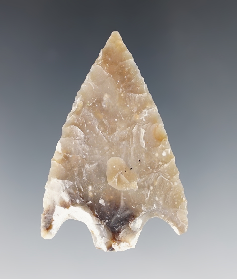 Main artifact image