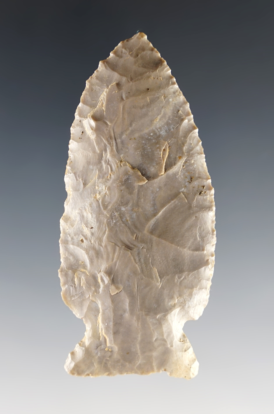 Main artifact image