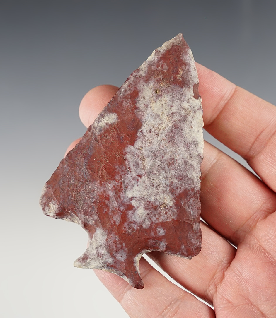 Main artifact image
