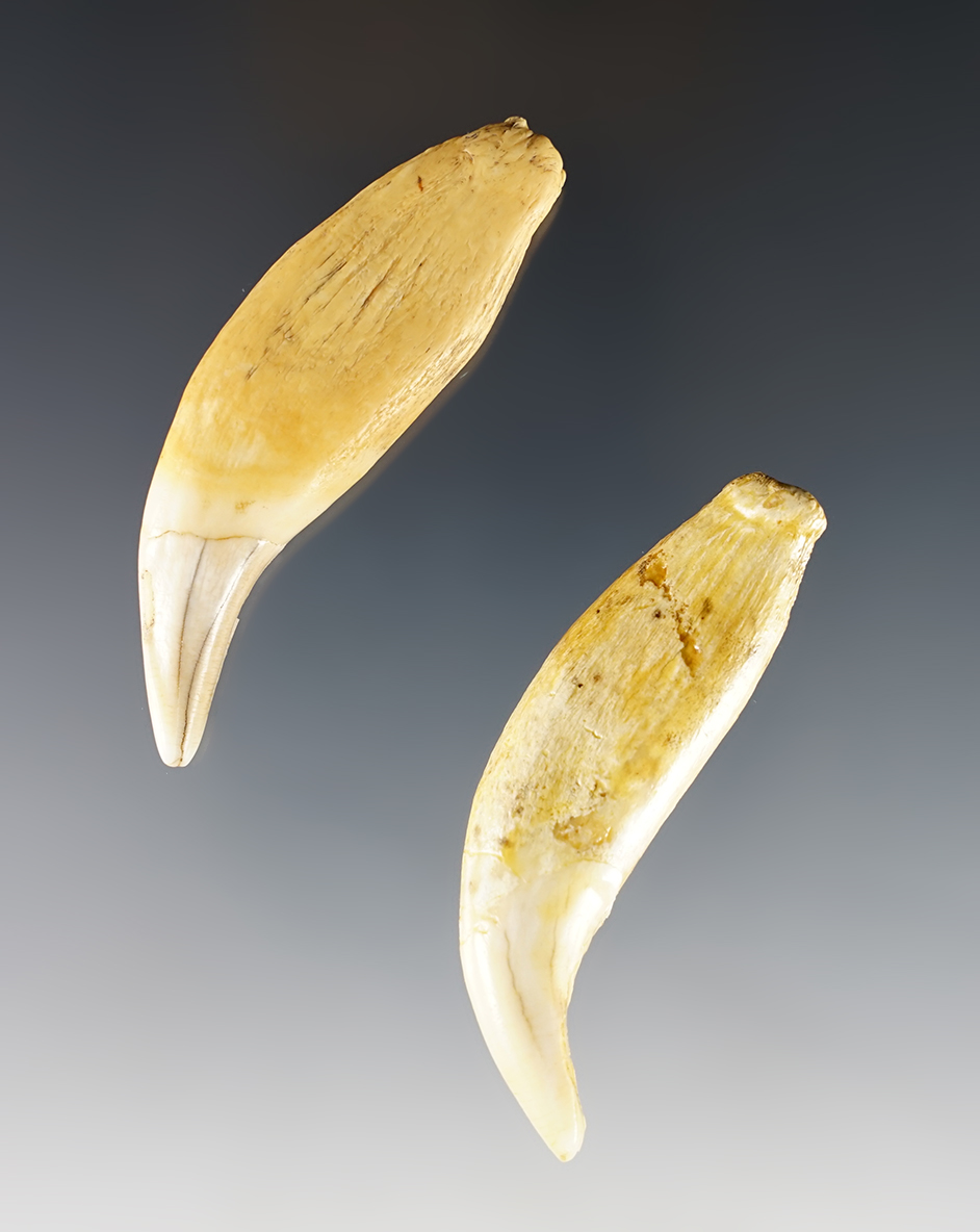 Main artifact image
