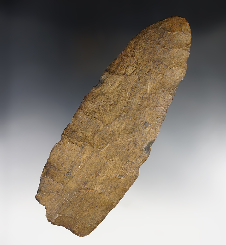 Main artifact image