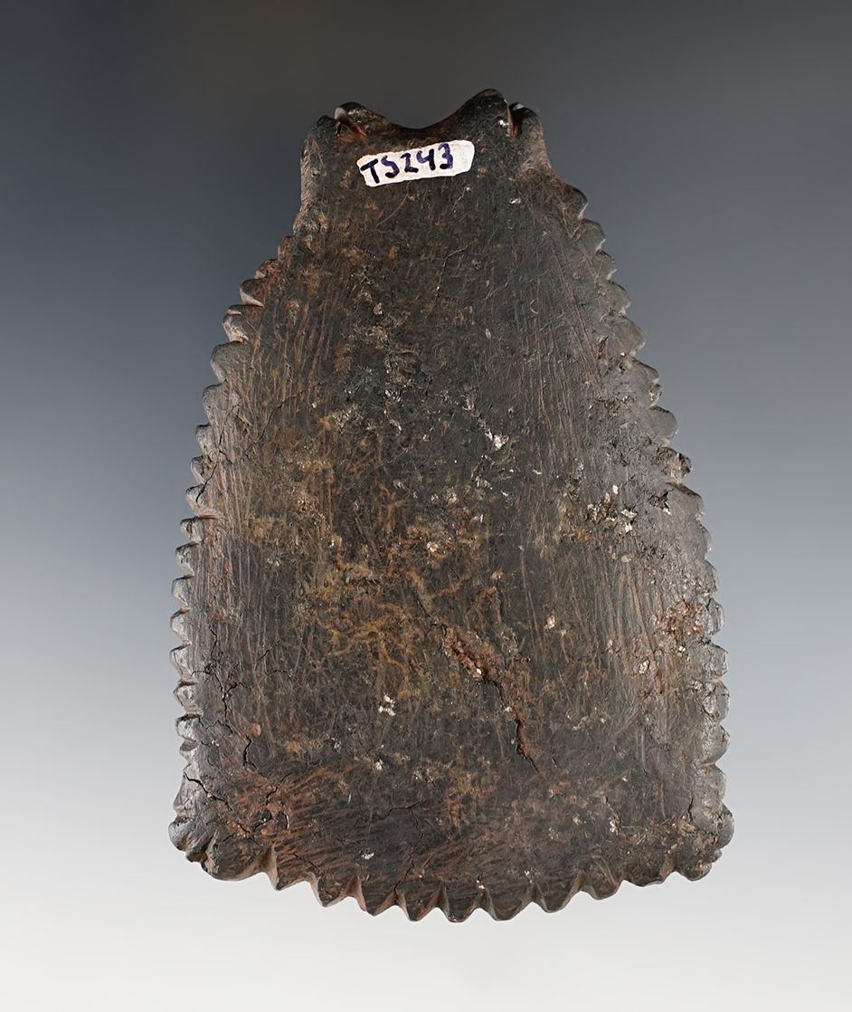 Main artifact image