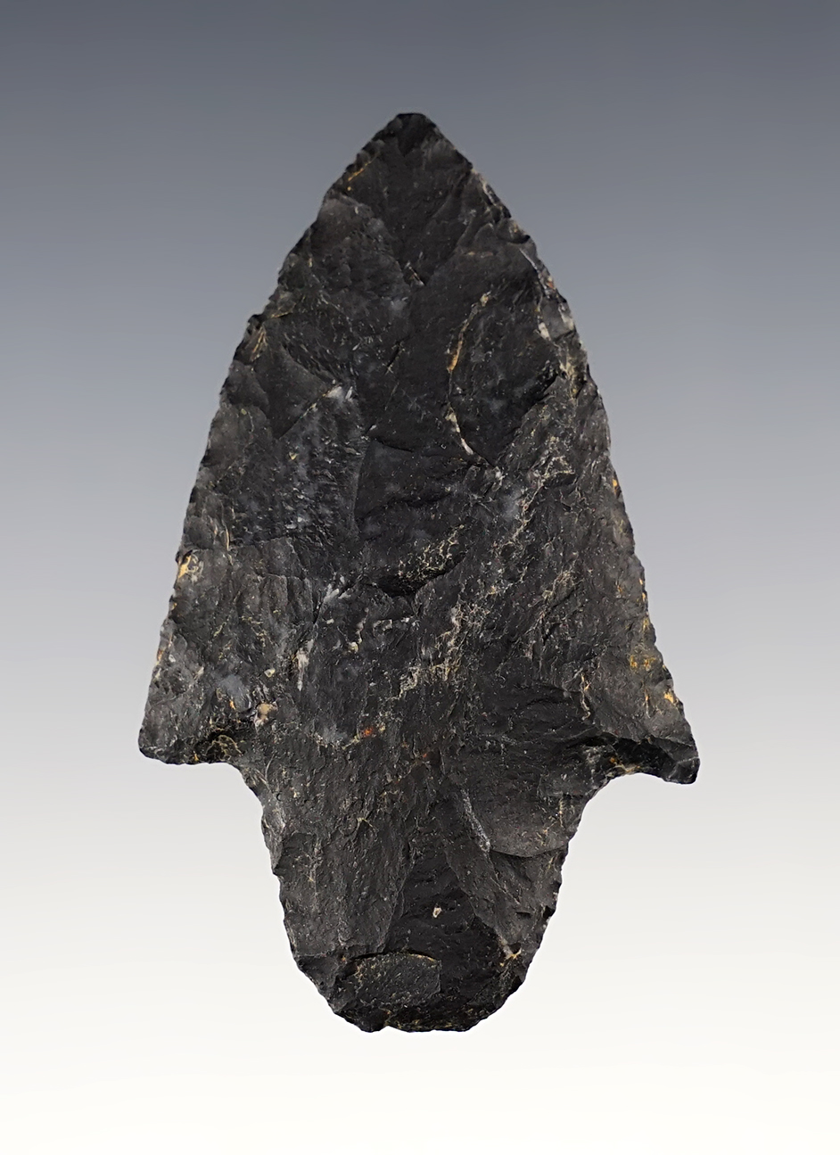 Main artifact image