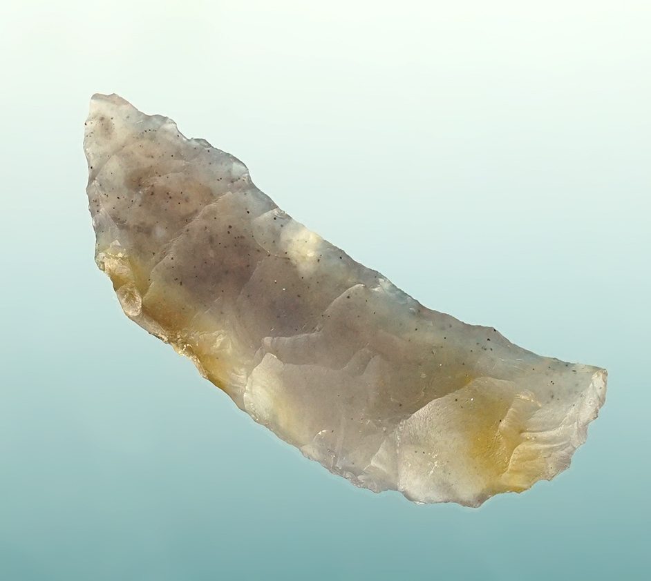 Main artifact image