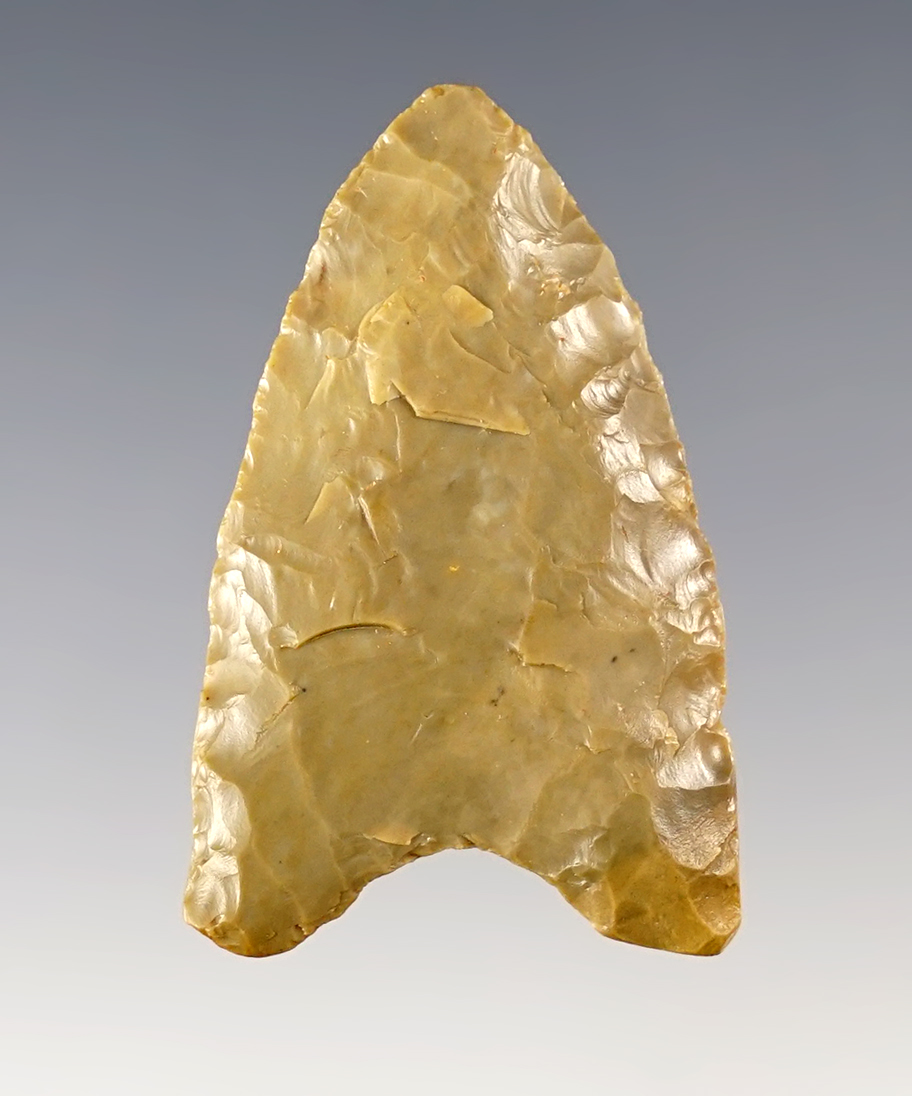 Main artifact image
