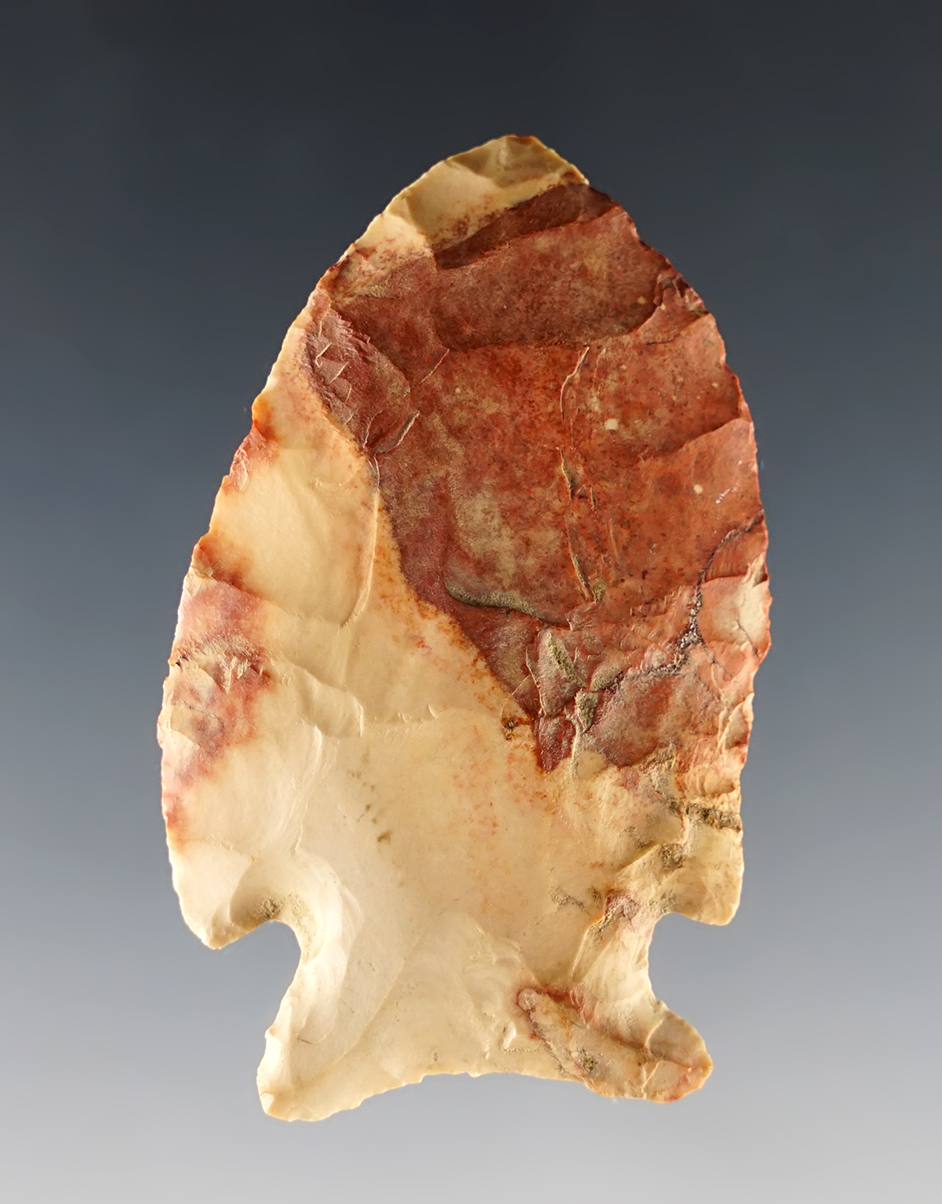 Main artifact image