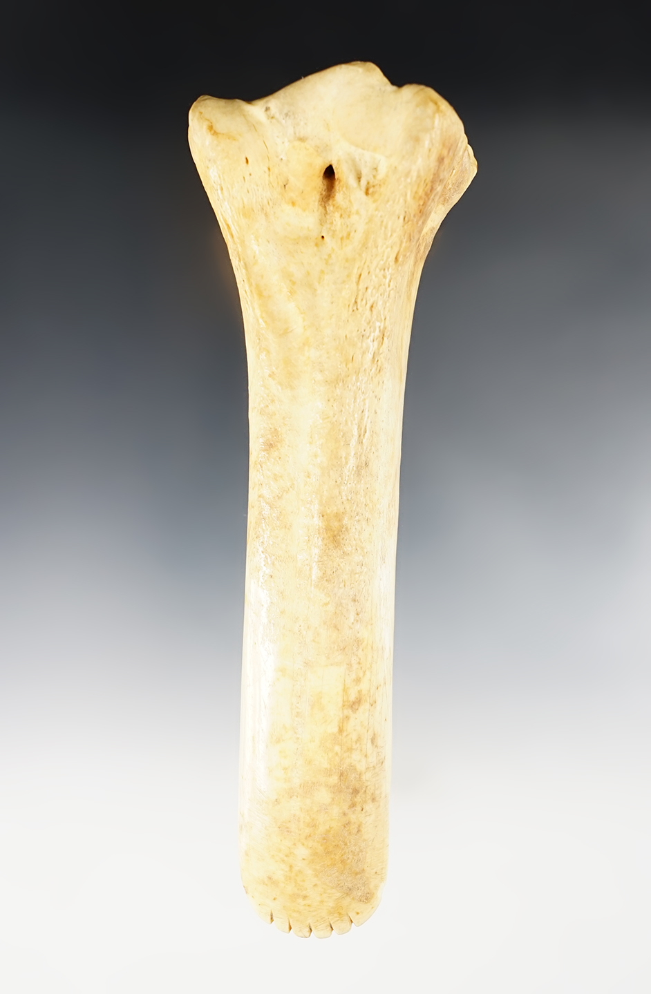 Main artifact image