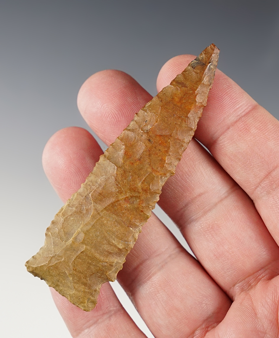 Main artifact image
