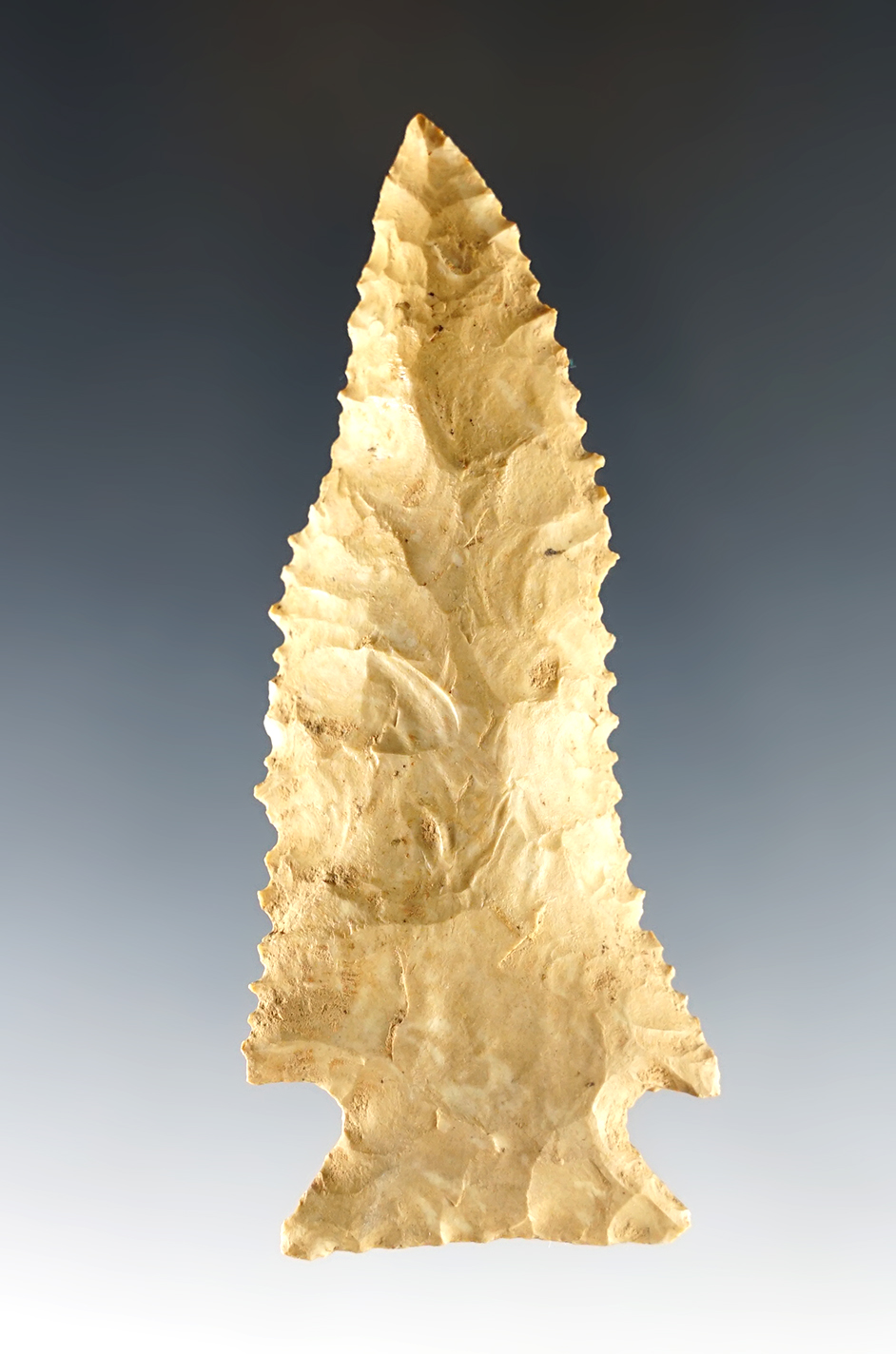 Main artifact image