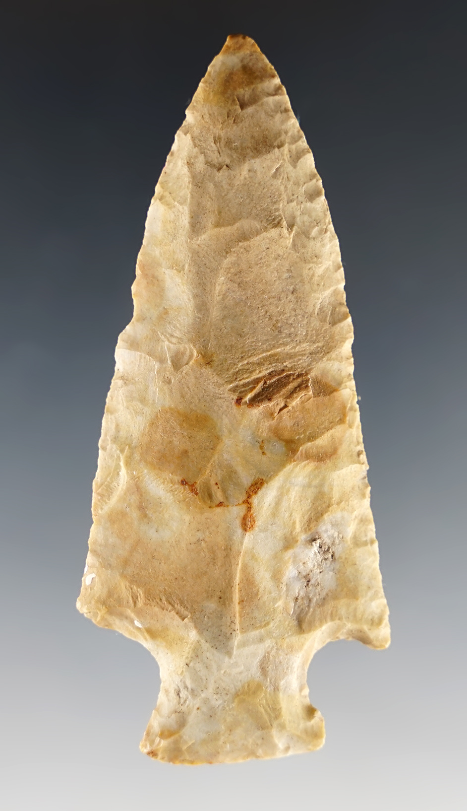 Main artifact image
