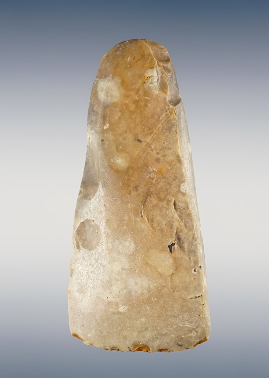 Main artifact image