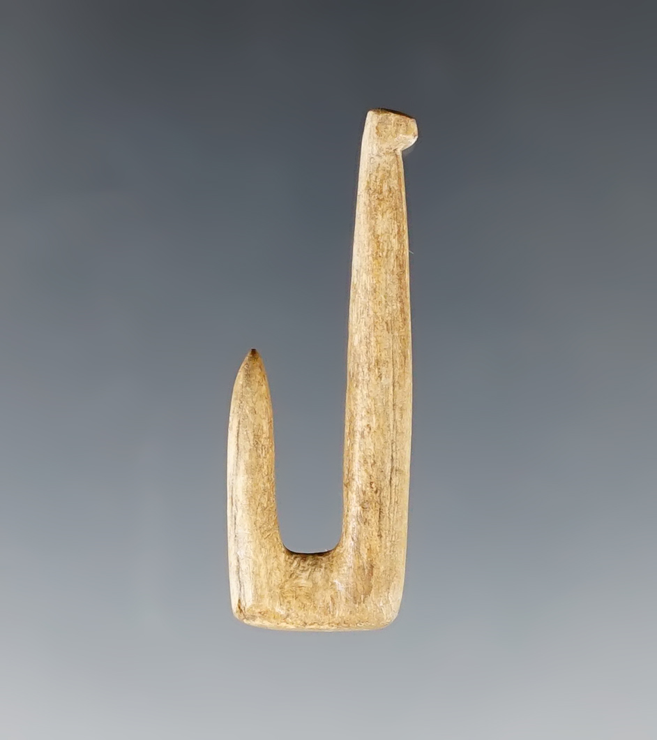 Main artifact image