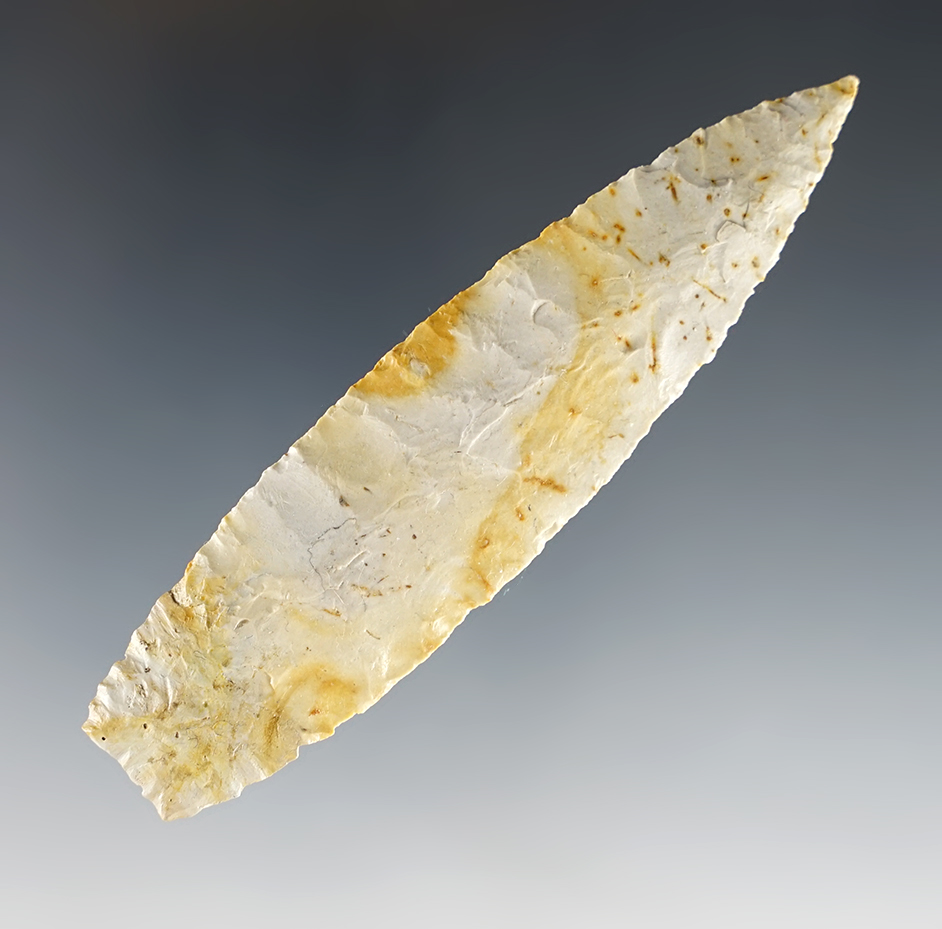 Main artifact image