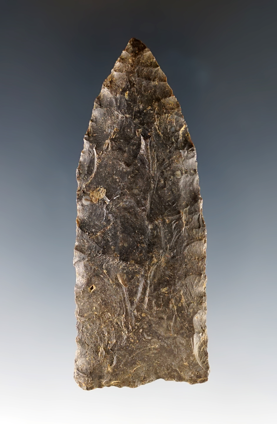 Main artifact image