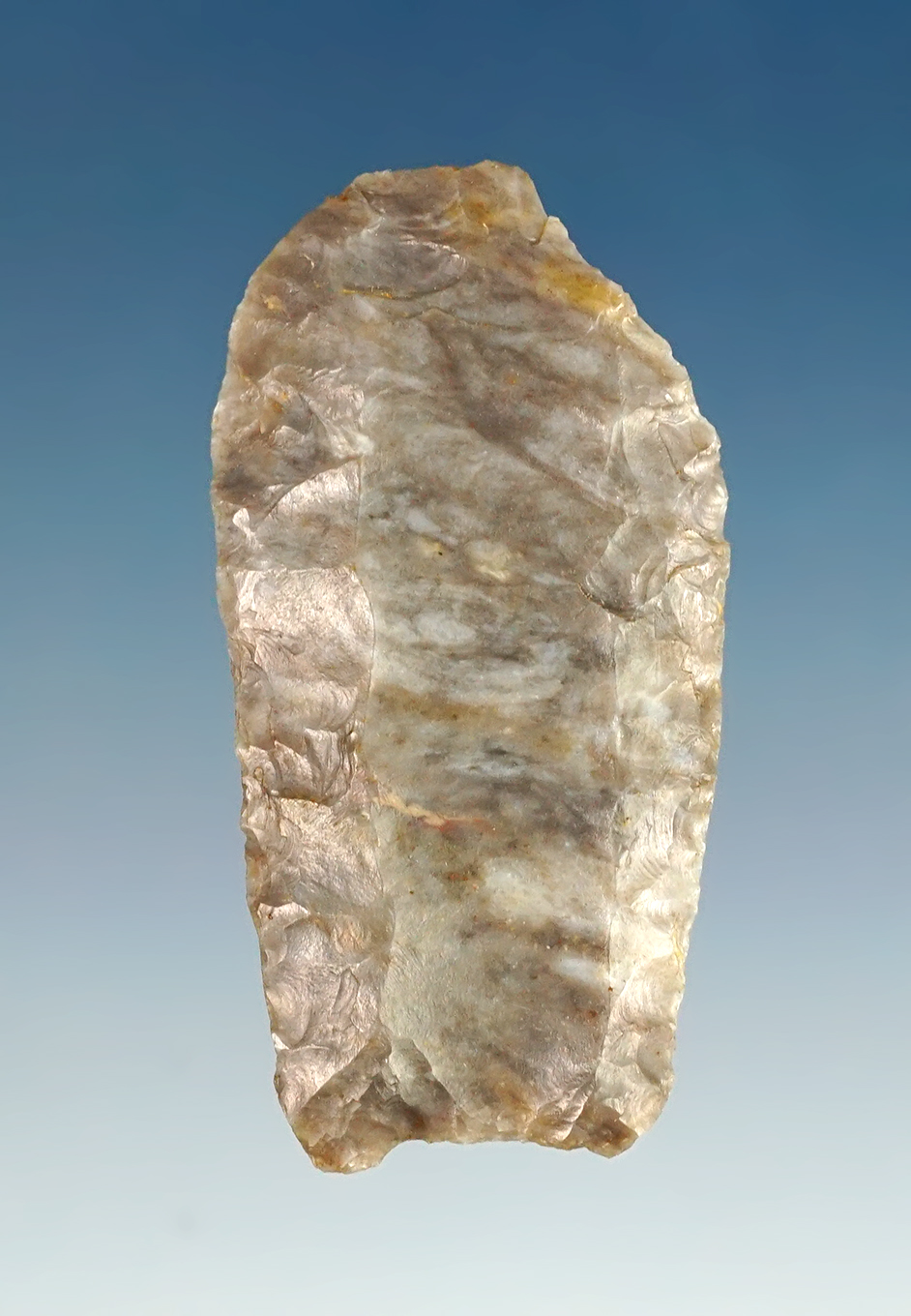 1 3/4" Paleo that is fluted on both faces. Made from Coshocton Flint. Papered by Rogers as a Folsom.