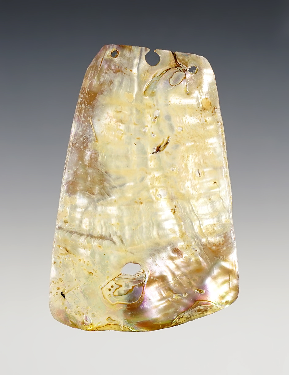 Main artifact image