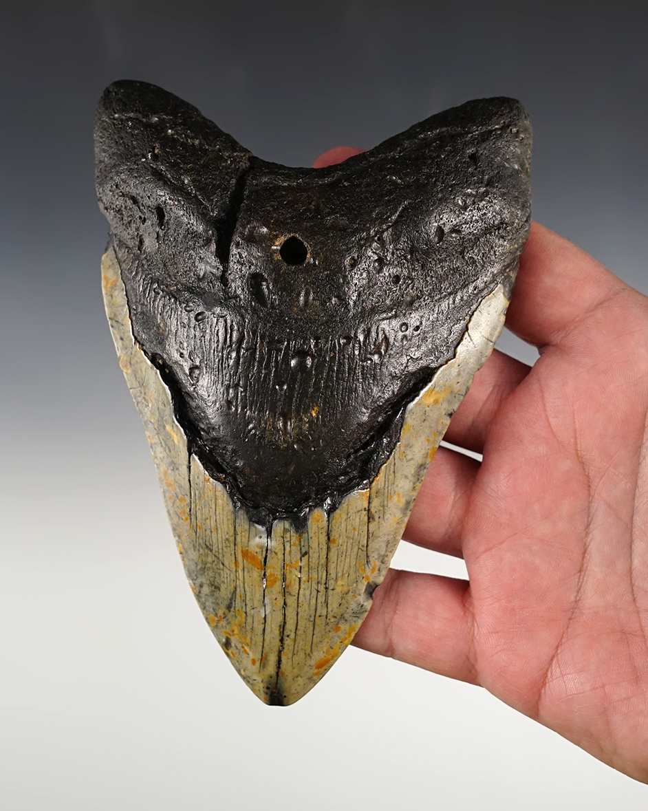 Main artifact image