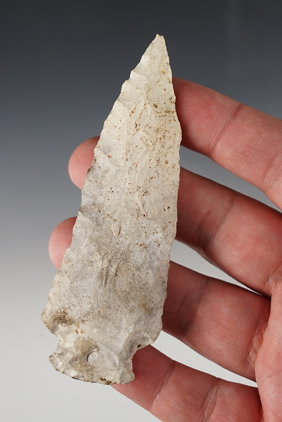 Main artifact image