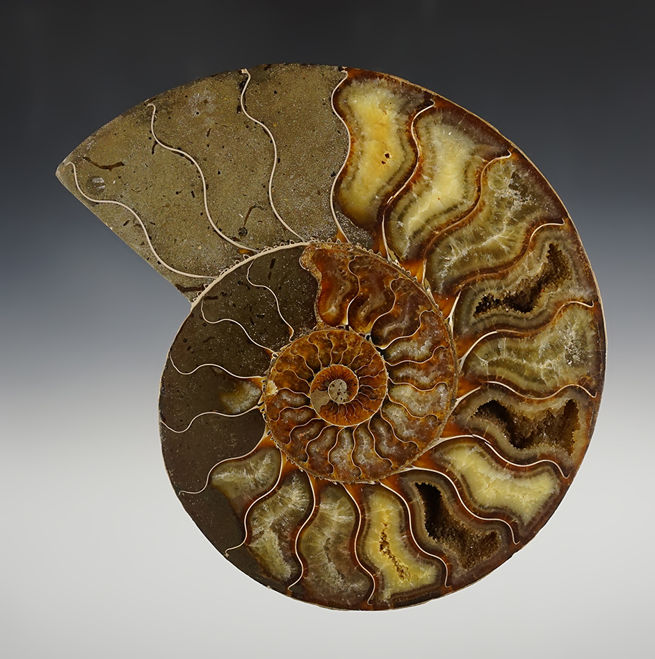Main artifact image