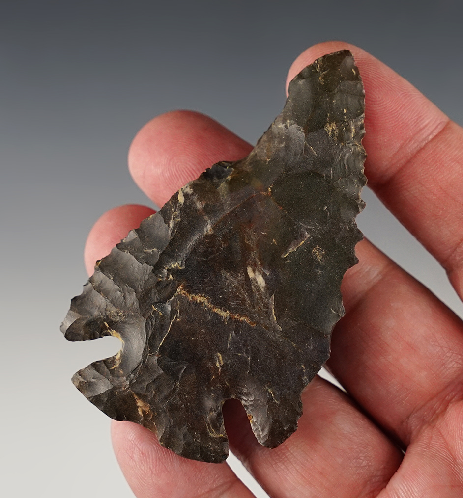 Main artifact image
