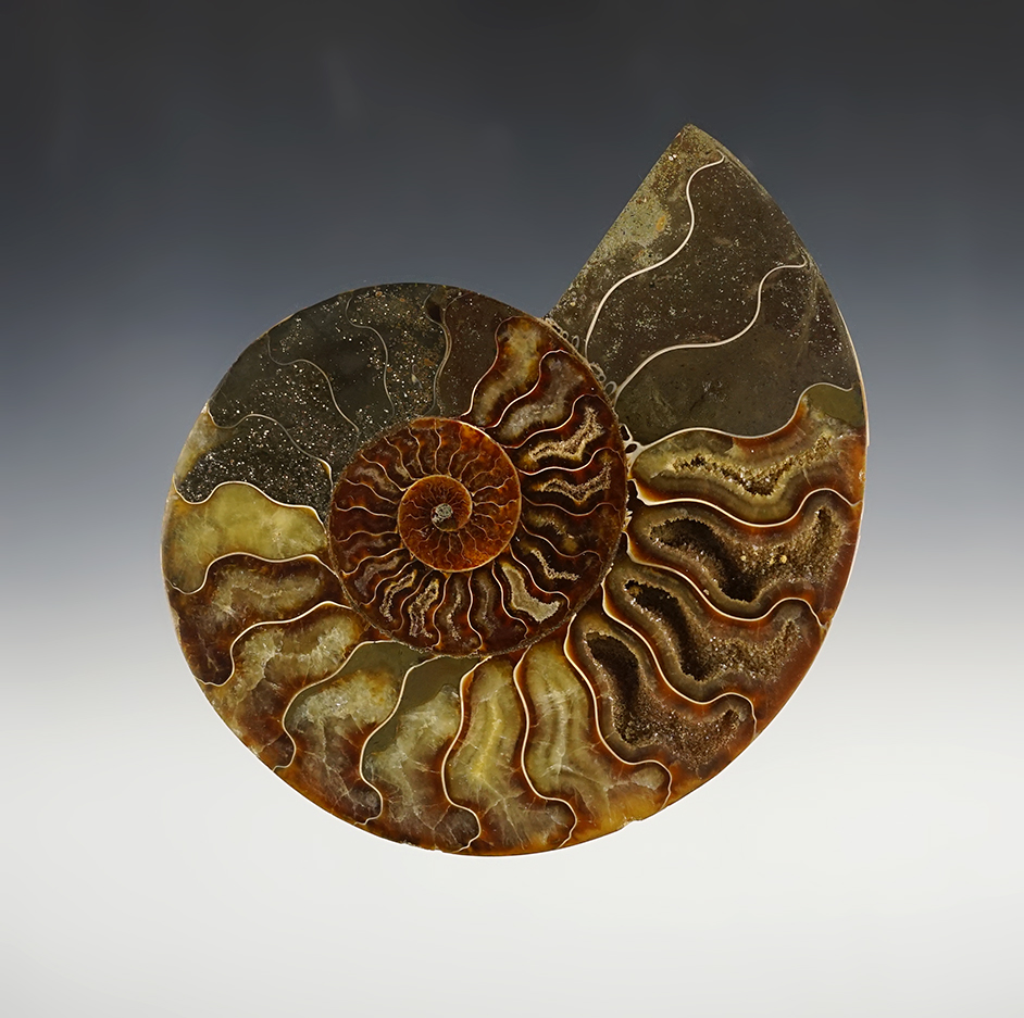 Main artifact image