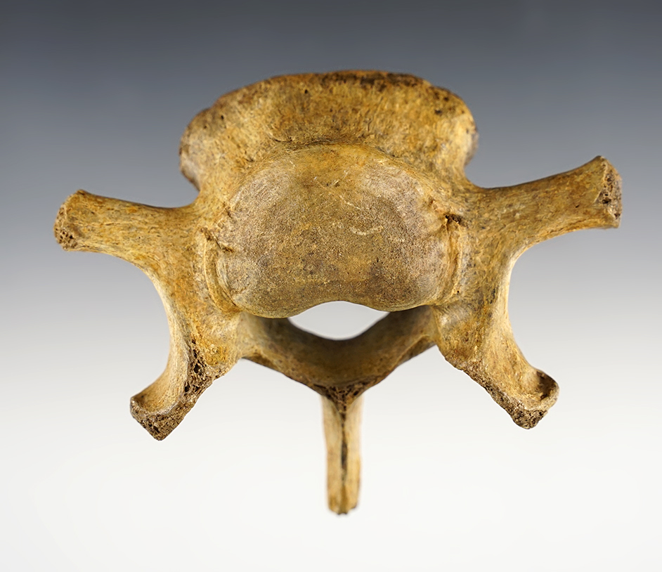 Main artifact image