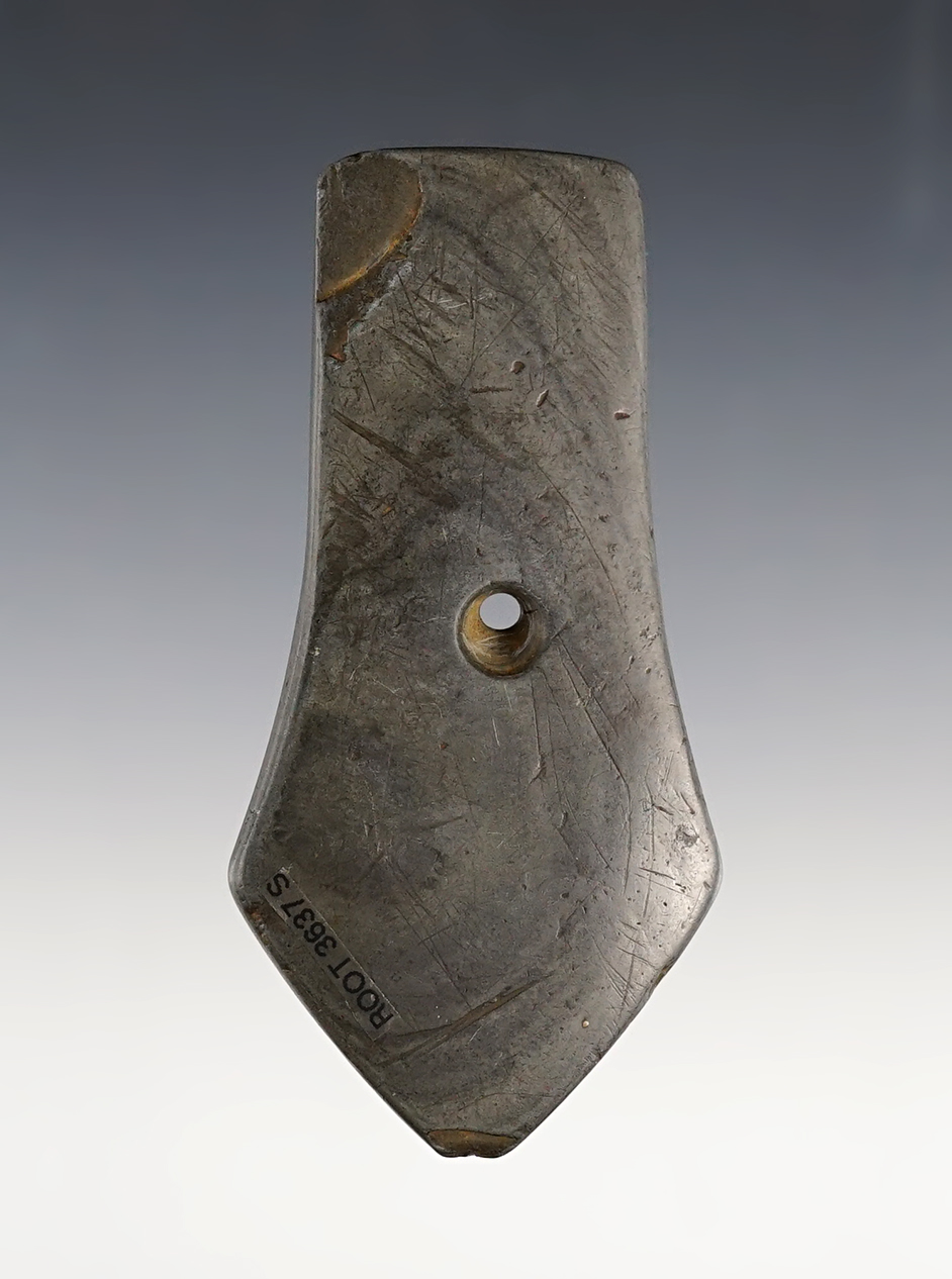 Main artifact image