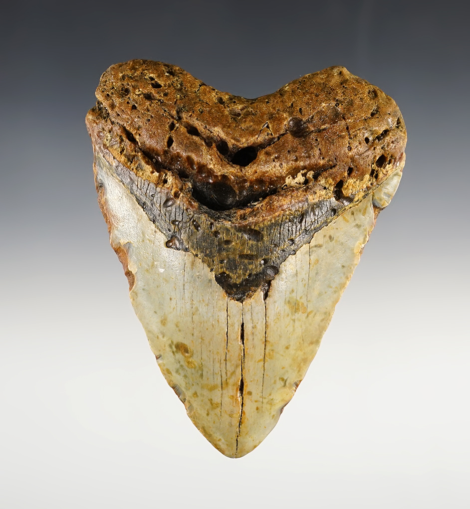 Main artifact image