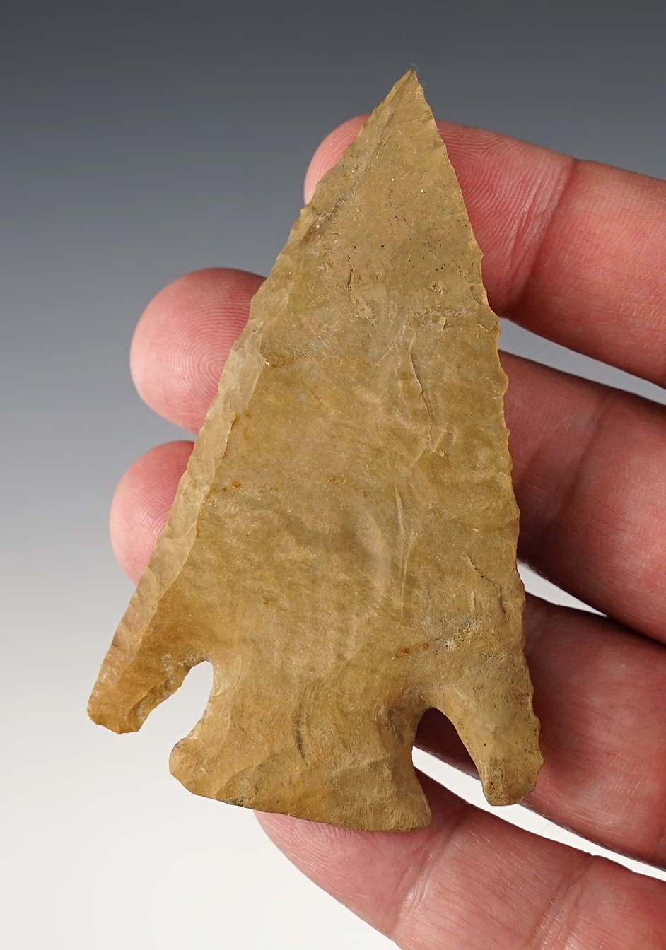 3 1/8" nicely bevel Lost Lake with restoration to the base, tip and one ear. 