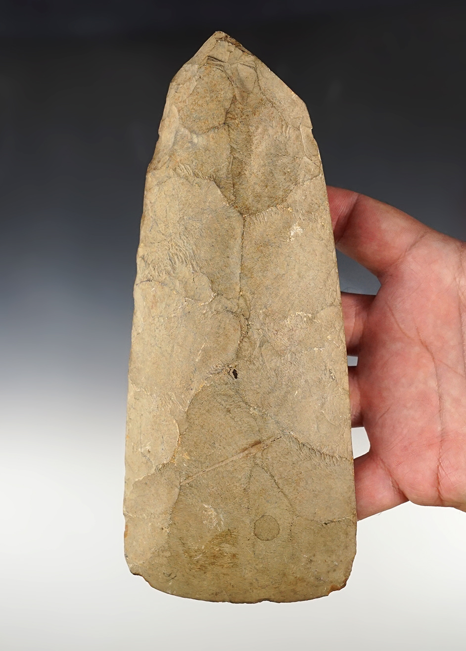 Main artifact image