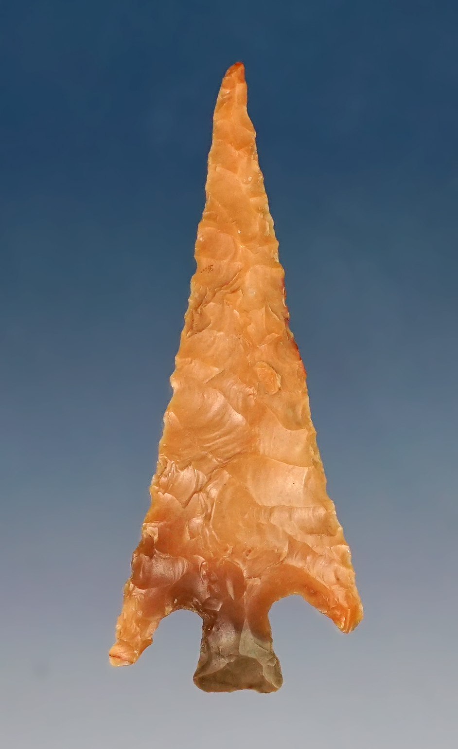 Nice! 1 13/16" large Columbia Plateau in excellent condition with nice flaking. 