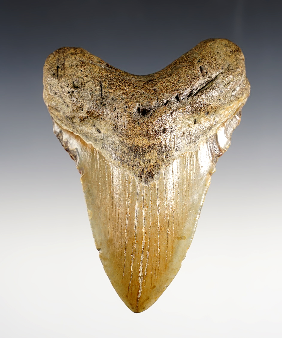 Main artifact image