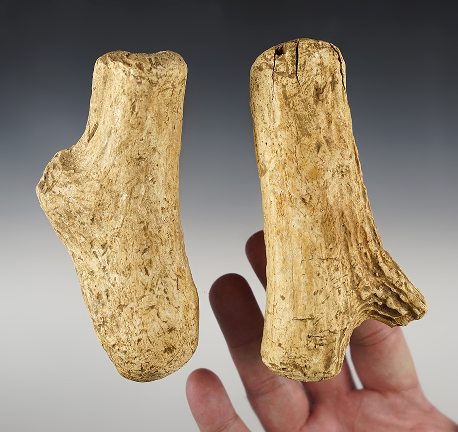 Main artifact image