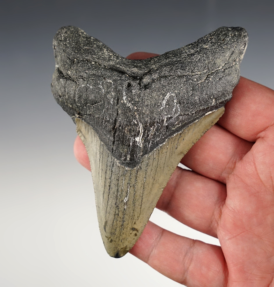 Main artifact image