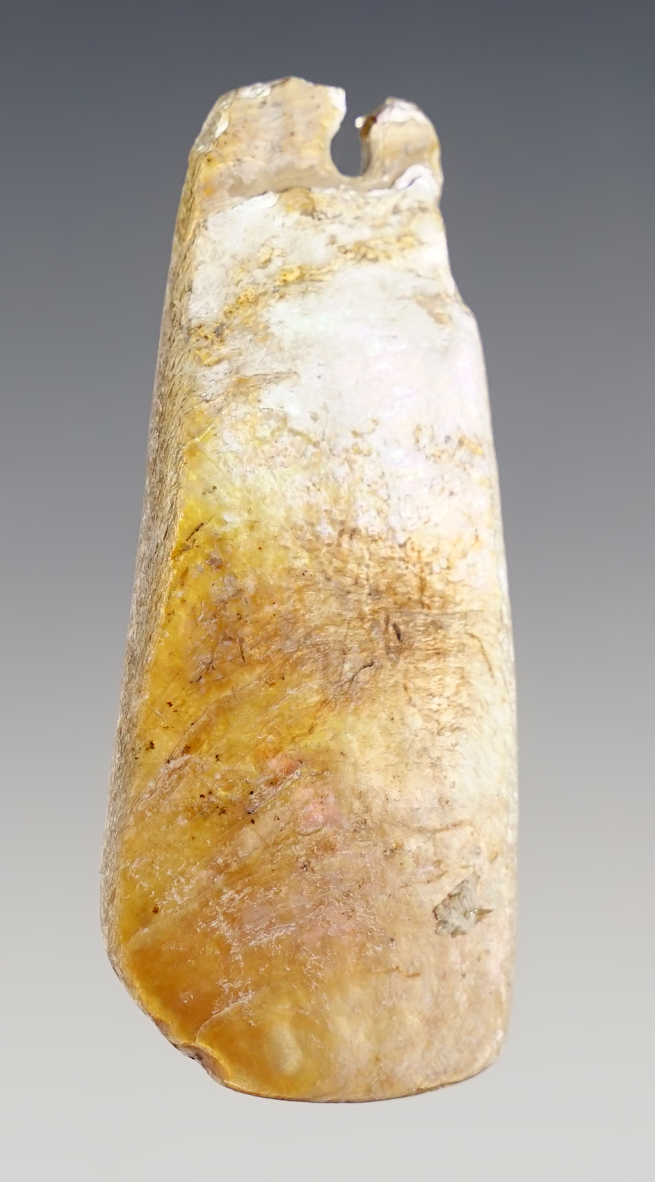 Main artifact image