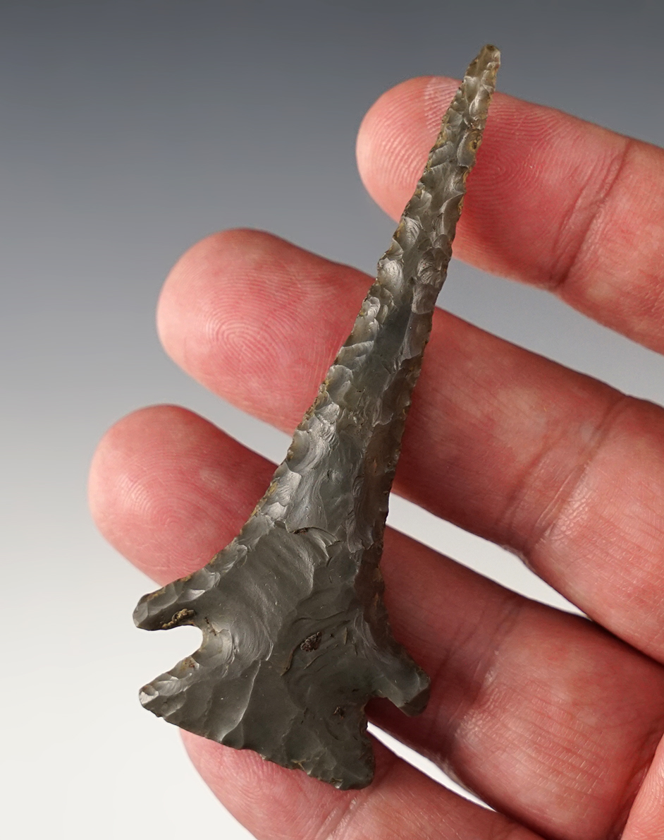 Main artifact image
