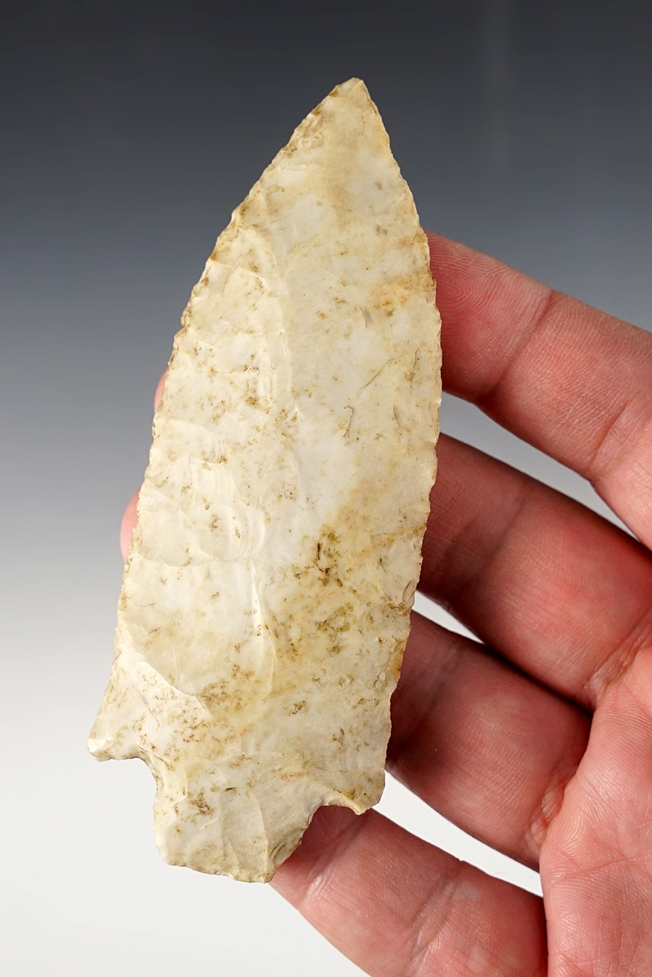 Main artifact image