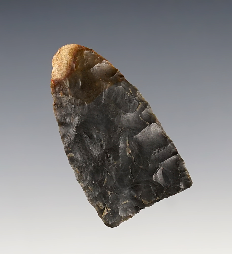 Main artifact image